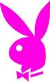 rosa_playboy rosa_playboy