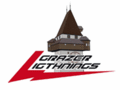 Logo Grazer Ligthnings: Grazer Ligthnings